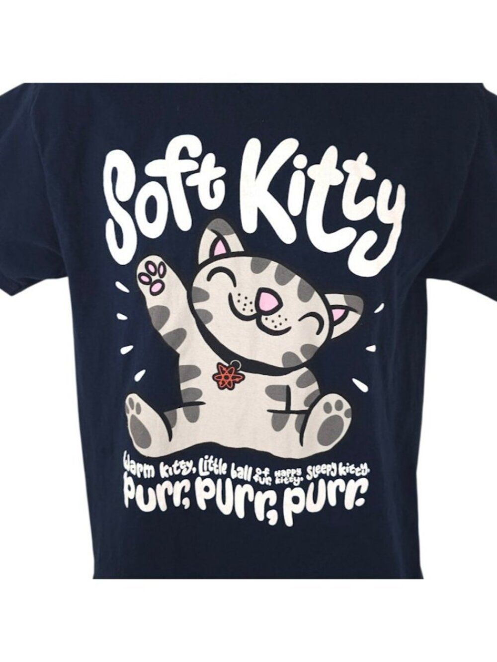 Big Bang Theory T Shirt Mens Size Medium Blue Soft Kitty Song TV Sitcom Series